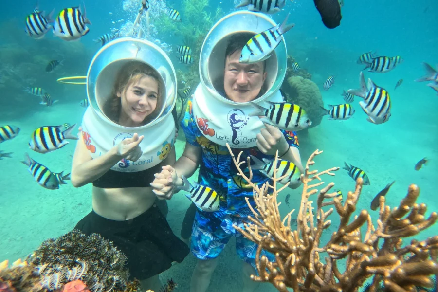 Tour đi bộ dưới đáy biển Nha Trang