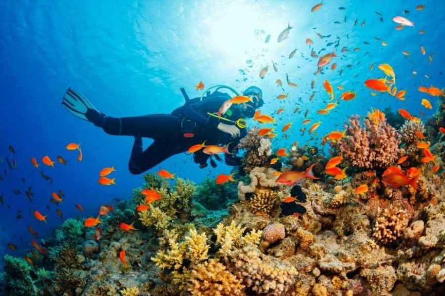 lặn biển ngắm cá có bình dưỡng khí