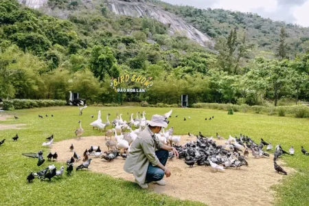 đảo khỉ đảo hoa lan