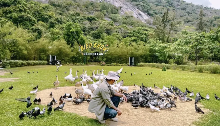 đảo khỉ đảo hoa lan