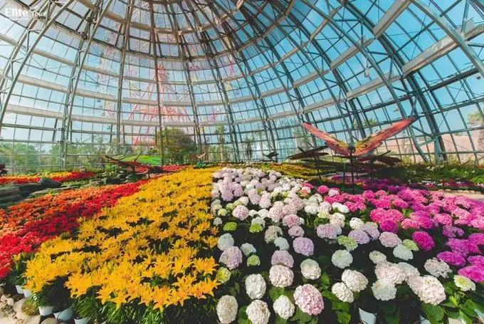 Đồi vạn hoa Vinpearl Nha Trang với hàng ngàn loài hoa khoe sắc