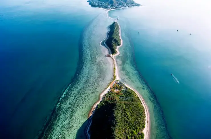 hàng phi lao xanh mát bãi biển Dốc Lết Nha Trang
