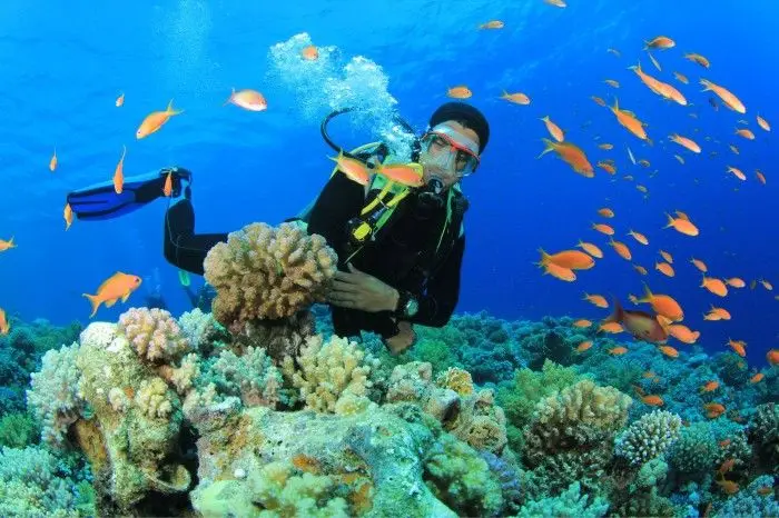 Lặn biển và ngắm san hô tại Biển Nha Trang
