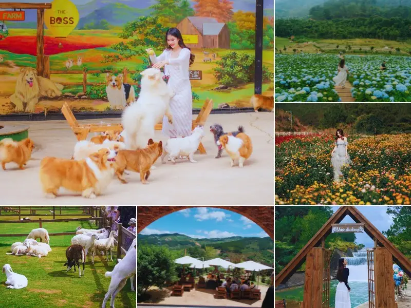nông trại cún puppy farm đà lạt