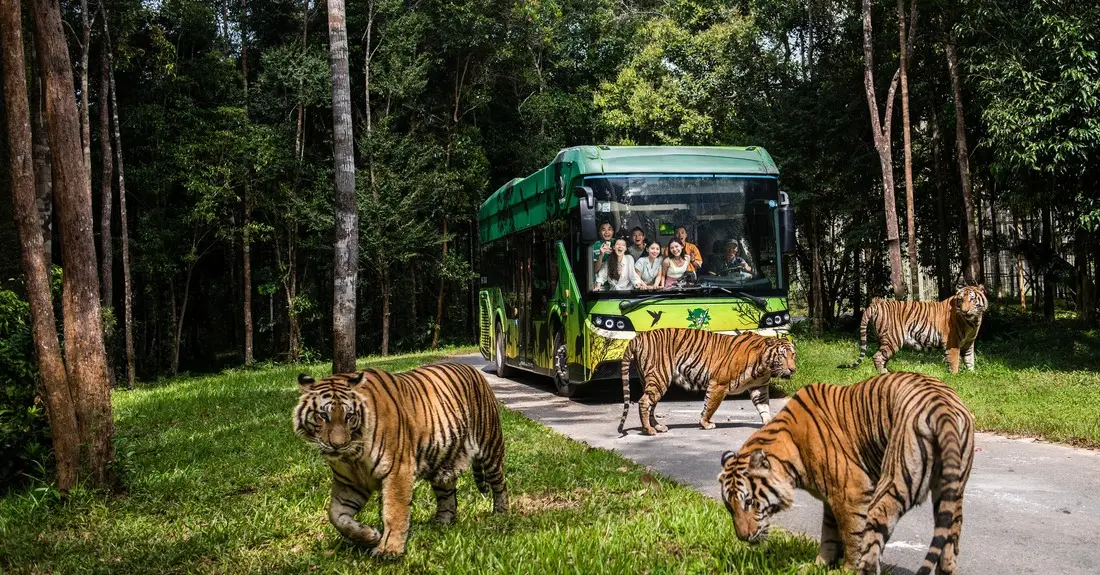 Khám phá Safari Bus tại Vinpearl Safari Phú Quốc