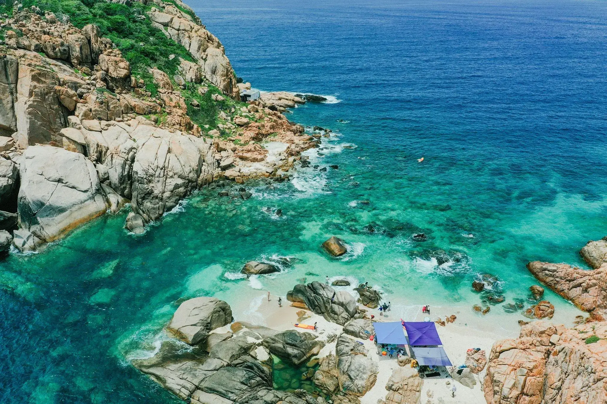 Tàu tham quan Vĩnh Hy khám phá san hô