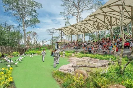 Trải nghiệm Vinpearl Safari Phú Quốc 2025