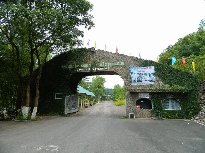 Con đường dẫn vào thác Pongour giữa rừng thông