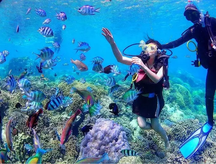 lặn biển ngắm san hô cam ranh