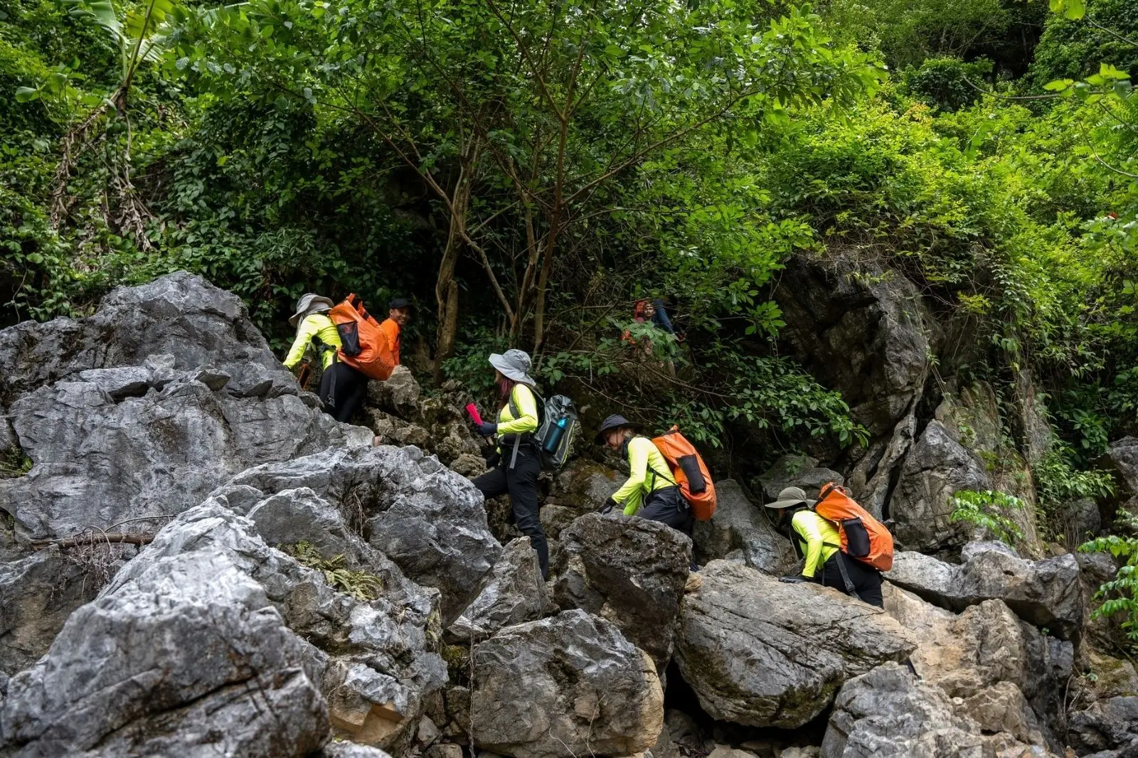 Đường trekking xuyên rừng Suối Tranh nhẹ nhàng