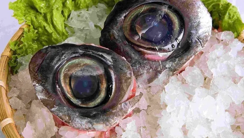 món ăn đặc sản mắt cá ngừ đại dương phú yên